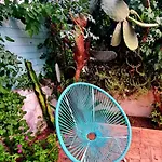 La Piccola Casa Apartment Mattinata