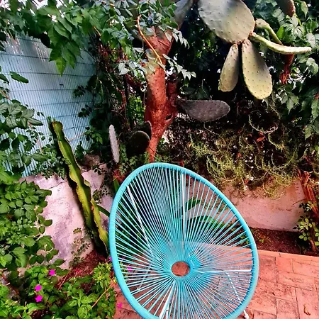 La Piccola Casa Apartment Mattinata