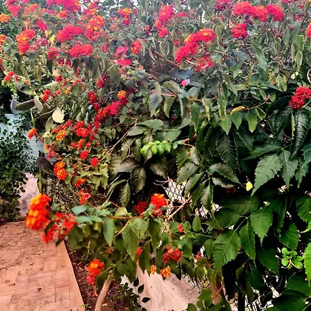 La Piccola Casa Apartment Mattinata