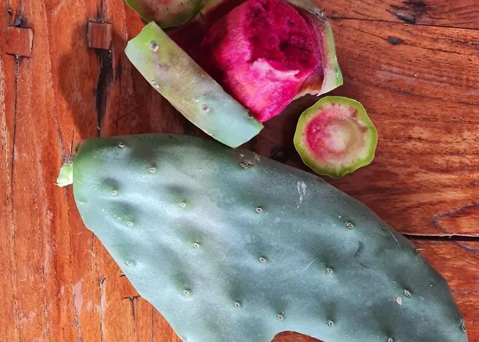 La Piccola Casa דירה *